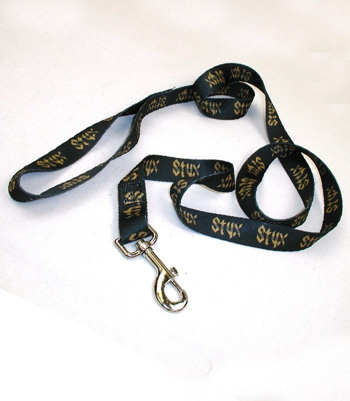 Dog leash with outlet locking clasp